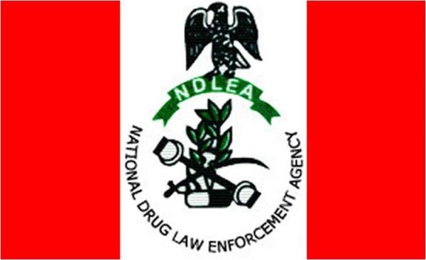 NDLEA警告尼日利亚人，要小心冒充警察的骗子