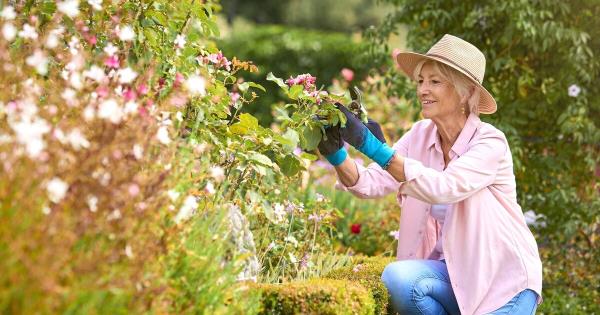 园艺专家揭示了6月份你应该做的10件事，以获得一个完美的花园